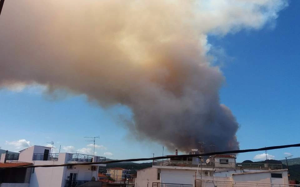 Δήμαρχος Διρφύων – Μεσσαπίων: Οι άνεμοι οδηγούν τις φλόγες κατευθείαν στα σπίτια